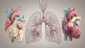 create medical and scientific illustrations
