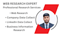do professional web research and company data collection