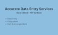 do accurate data entry in excel or word