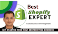 create or customize a professional shopify store