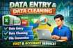 do accurate data entry, data cleaning, and excel data formatting