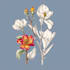 draw botanical illustration flower, plant