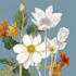 illustrate best botanical illustration