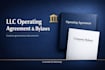 prepare custom llc operating agreements and company bylaws