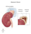 create high quality medical presentations