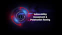 do professional web app penetration testing and vapt with report