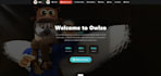 create a professional website with custom admin panel