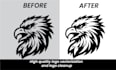 do manual vector tracing, vector conversion and logo vectorization