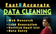 do data entry, data collection, data cleaning, copy paste and web reseach