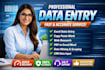 excel data entry, copy paste and website data entry tasks