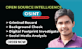 do professional osint investigation and background check