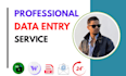 accurate data entry in excel and word