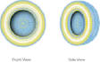 create scientific illustrations, graphical abstracts