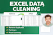 clean, organize excel data and build pivot analysis