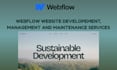 webflow website, website development, management, maintenance services