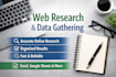do basic web research and online information gathering