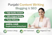 write high quality punjabi content