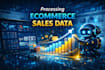 processing ecommerce sales data