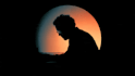create a professional silhouette logo and silhouette object