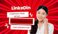 expert linkedin profile SEO setup with targeted ads campaign