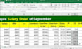 do professional data entry, ms excel and ms word work