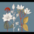 draw floral illustrations flower