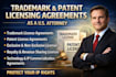 draft trademark and patent licensing agreements