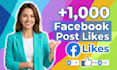 add new 1000 facebook post likes