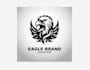 create attractive and imagination hawk logo design