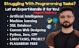 do assigned programming python machine learn java cpp sql database web developer