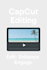 edit professional videos in capcut