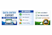 do accurate data entry, web research and excel data cleaning