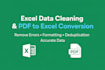 convert PDF to excel and clean data with accuracy