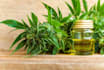 promote your cbd telegram, forex crypto telegram promotion