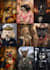 create a royal pet portrait from your photo