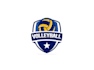 create exclusive and marvelous volleyball logo design