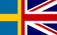 translate english to swedish with perfect grammar