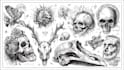 design amazing tattoo flash sheet for you