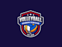 create professional and specially volleyball logo design