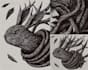 create custom linocut style illustrations and prints
