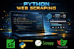 build python web scraping scripts, selenium, scrapy, playwright, beautifulsoup