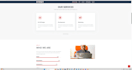 professional buisness wordpress website