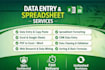 do data entry, excel, and google sheets services