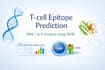 predict mhc I and mhc ii cell epitopes using iedb