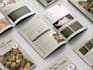 design a clean, reusable canva ebook template you can edit