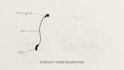 animate a clear and short mtb brake bleeding tutorial