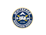create professional and specially skiing logo design