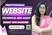 provide a professional SEO audit and actionable roadmap