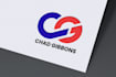 professional lettermark text logo design fast delivery