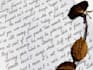 write beautiful handwritten notes and letters in cursive